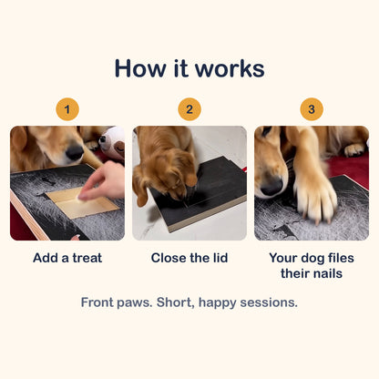 Clawly Dog Nail Scratch Board