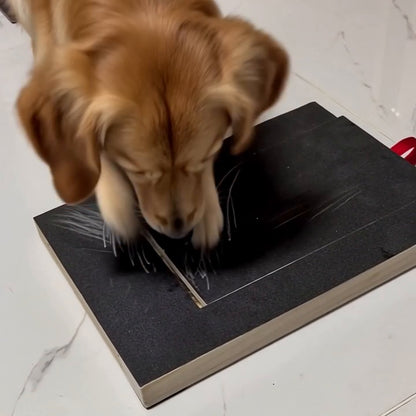 Clawly Dog Nail Scratch Board
