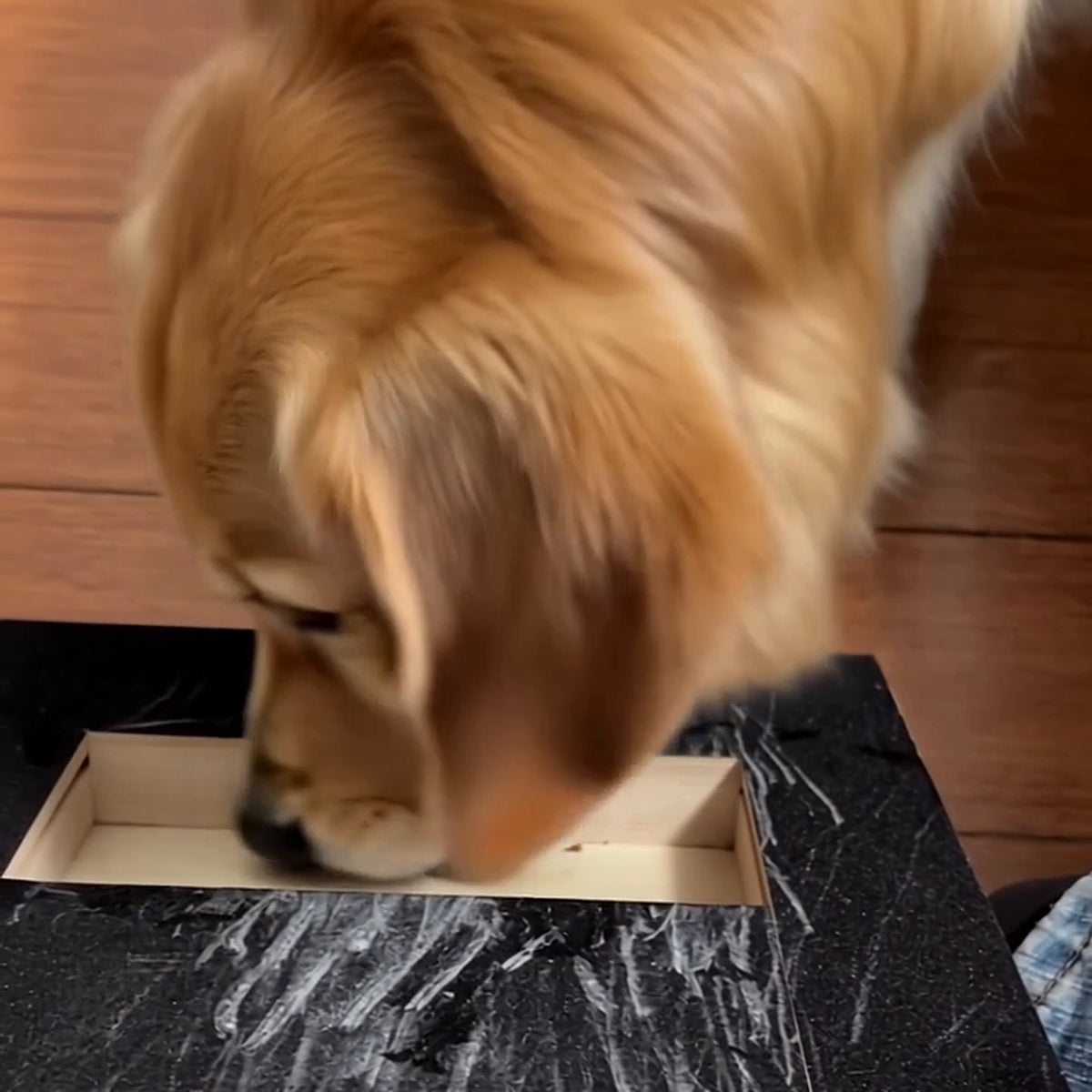 Clawly Dog Nail Scratch Board