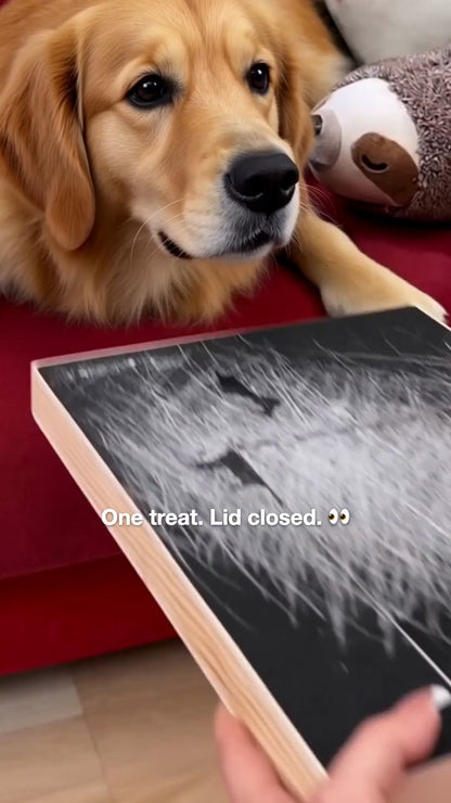 Clawly Dog Nail Scratch Board