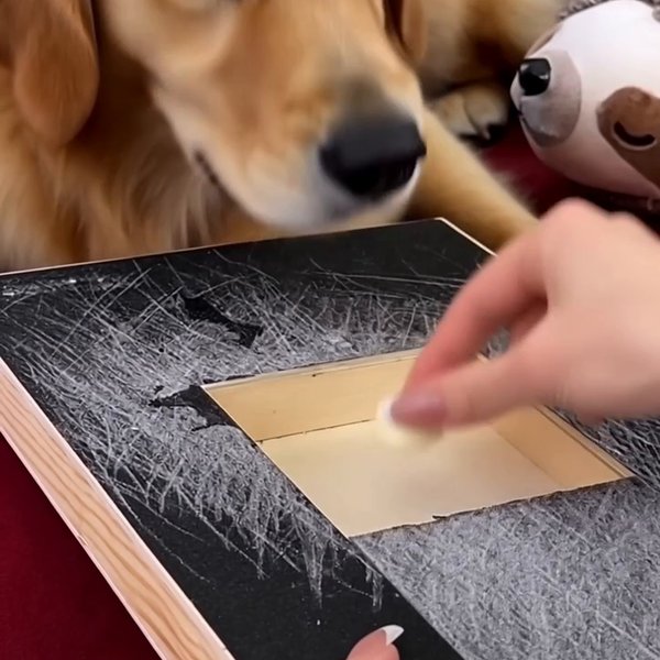 Treat going into the open treat box